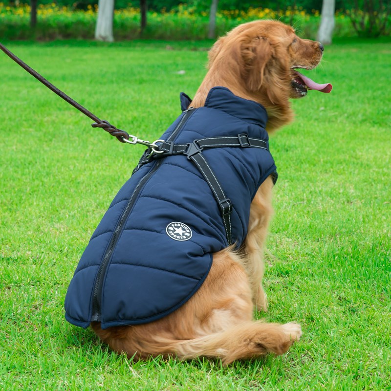 Waterproof hondenjas met geïntegreerd harnas - Houd je hond warm en droog