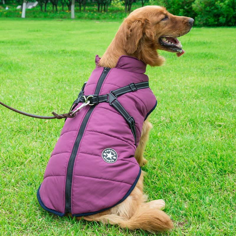 Waterproof hondenjas met geïntegreerd harnas - Houd je hond warm en droog