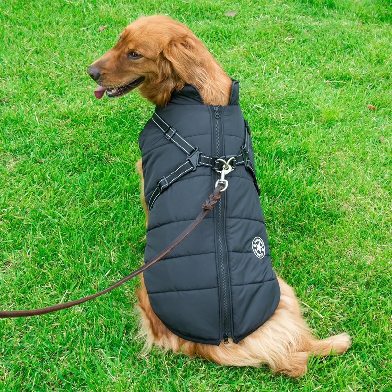 Waterproof hondenjas met geïntegreerd harnas - Houd je hond warm en droog