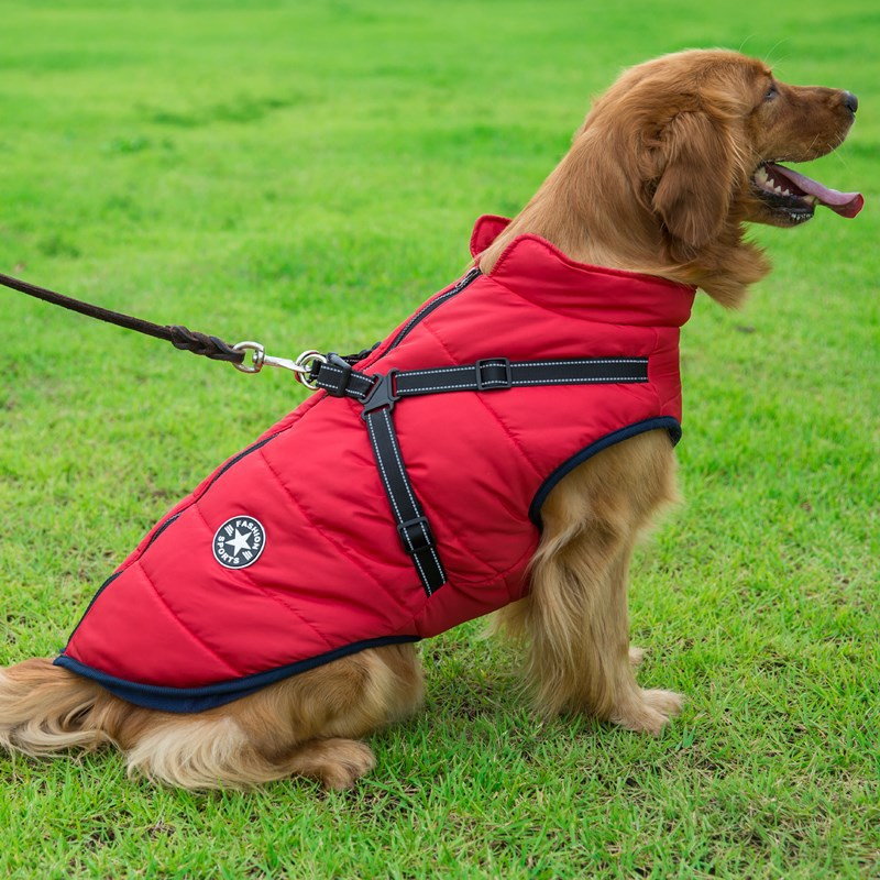 Waterproof hondenjas met geïntegreerd harnas - Houd je hond warm en droog